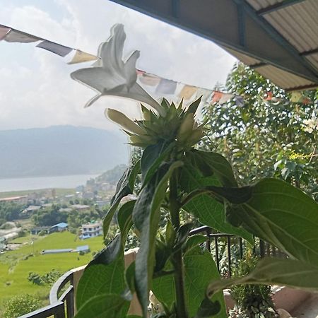 Gautam Garden Guest House Pokhara Exterior foto